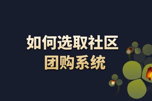 武漢網(wǎng)站建設(shè)與開(kāi)發(fā)新趨勢(shì) 金百瑞科技的專(zhuān)業(yè)視角